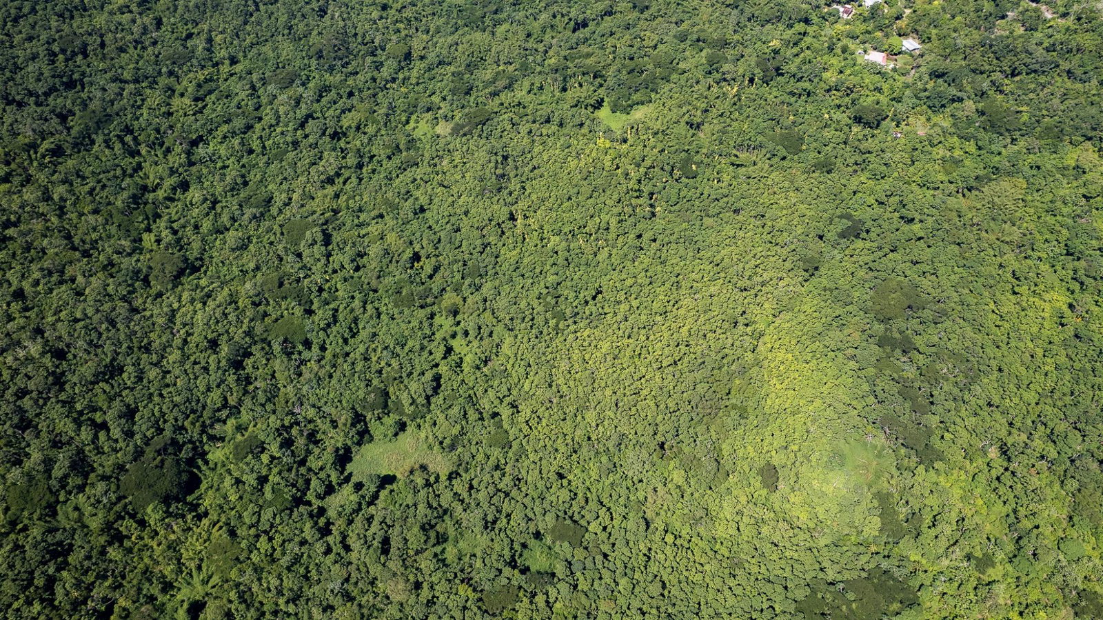 Second image of Union Pen in Union Hill, St. Mary, Jamaica - property is For Sale