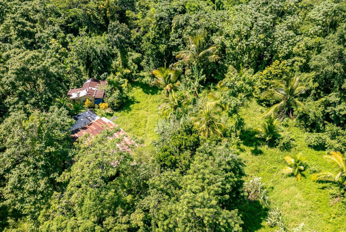 Fourteenth image of Union Pen in Union Hill, St. Mary, Jamaica - property is For Sale