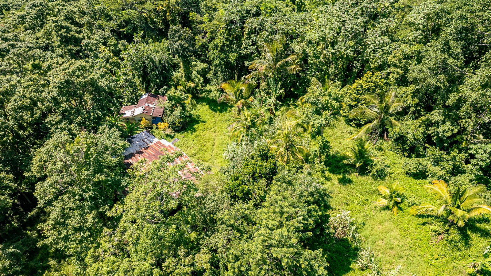 Fourteenth image of Union Pen in Union Hill, St. Mary, Jamaica - property is For Sale