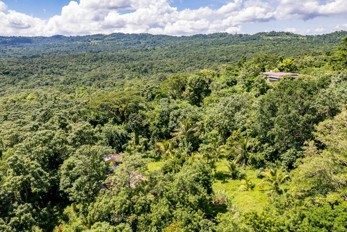 Fifteenth image of Union Pen in Union Hill, St. Mary, Jamaica - property is For Sale