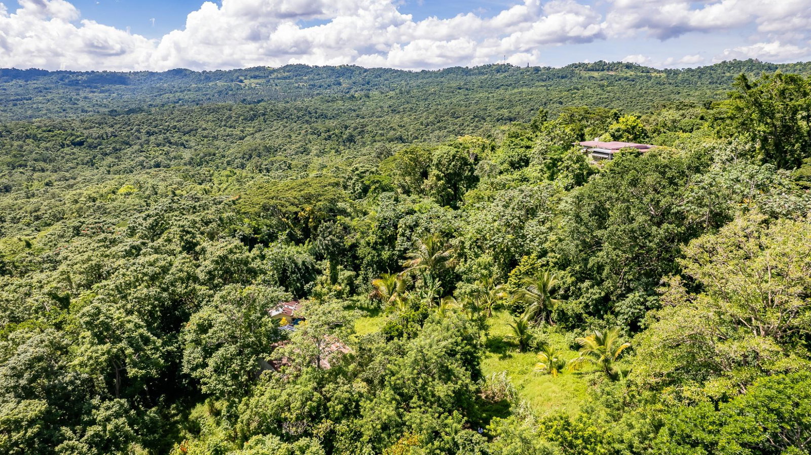 Fifteenth image of Union Pen in Union Hill, St. Mary, Jamaica - property is For Sale
