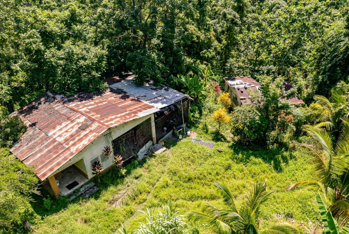 Sixteenth image of Union Pen in Union Hill, St. Mary, Jamaica - property is For Sale