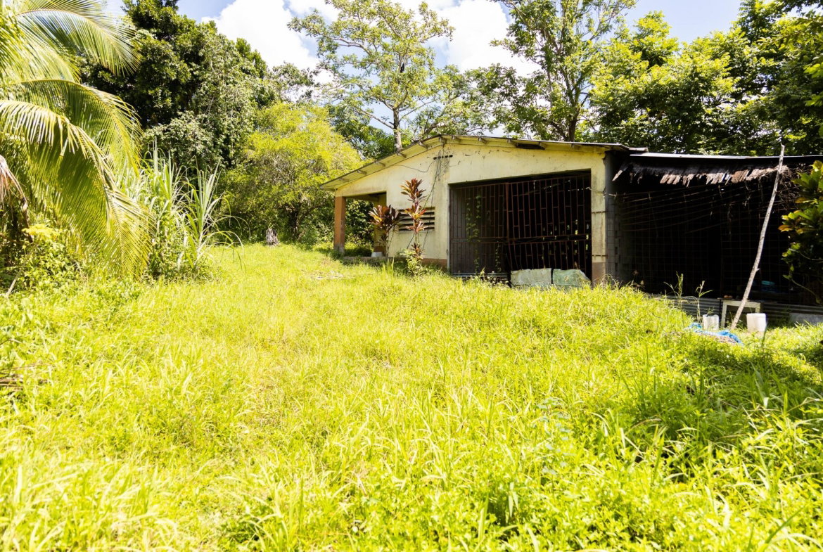 Seventh image of Union Pen in Union Hill, St. Mary, Jamaica - property is For Sale