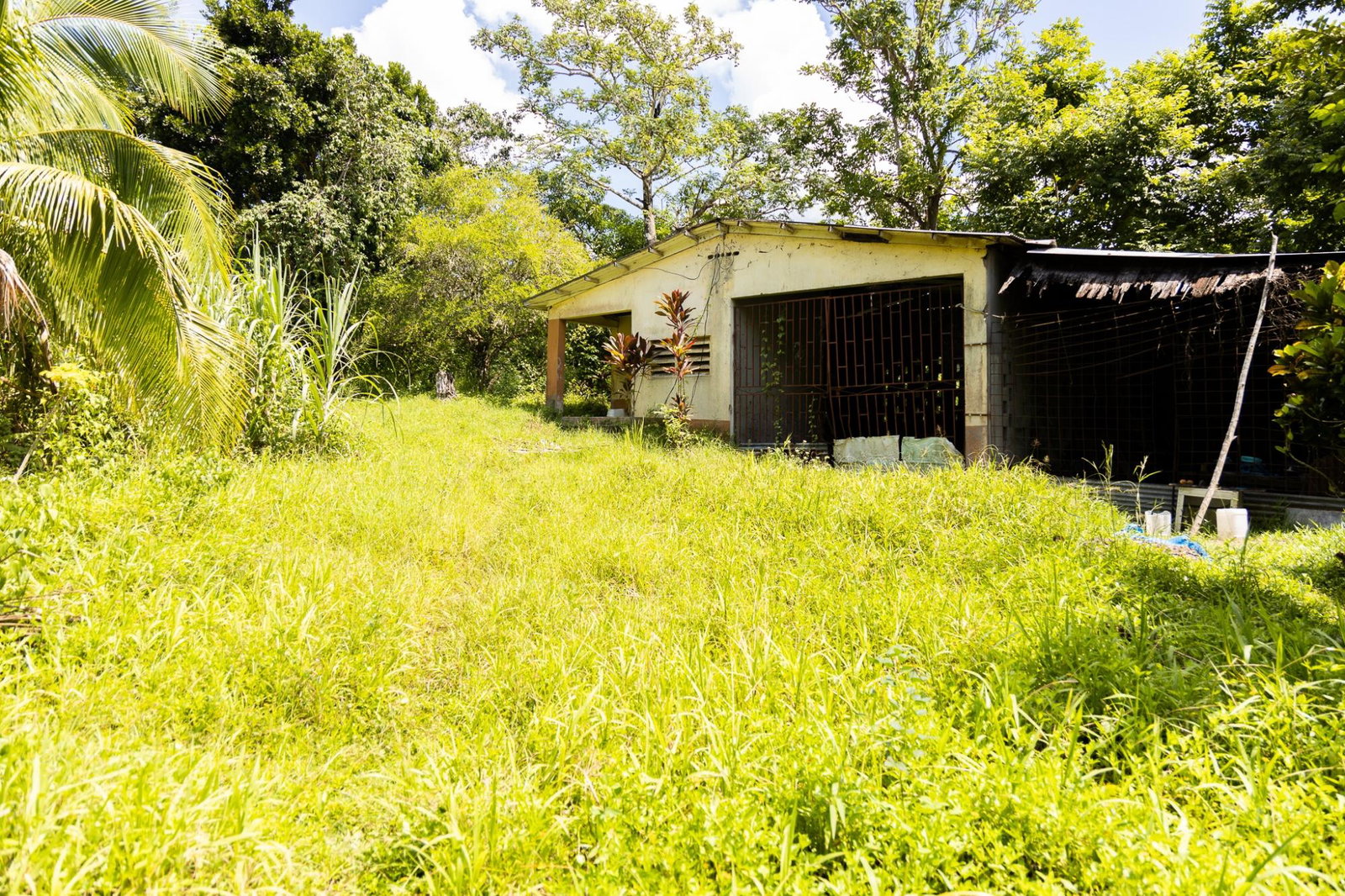 Seventh image of Union Pen in Union Hill, St. Mary, Jamaica - property is For Sale
