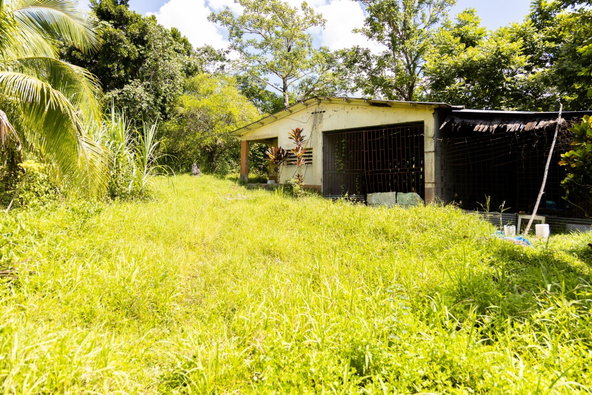 Seventh image of Union Pen in Union Hill, St. Mary, Jamaica - property is For Sale