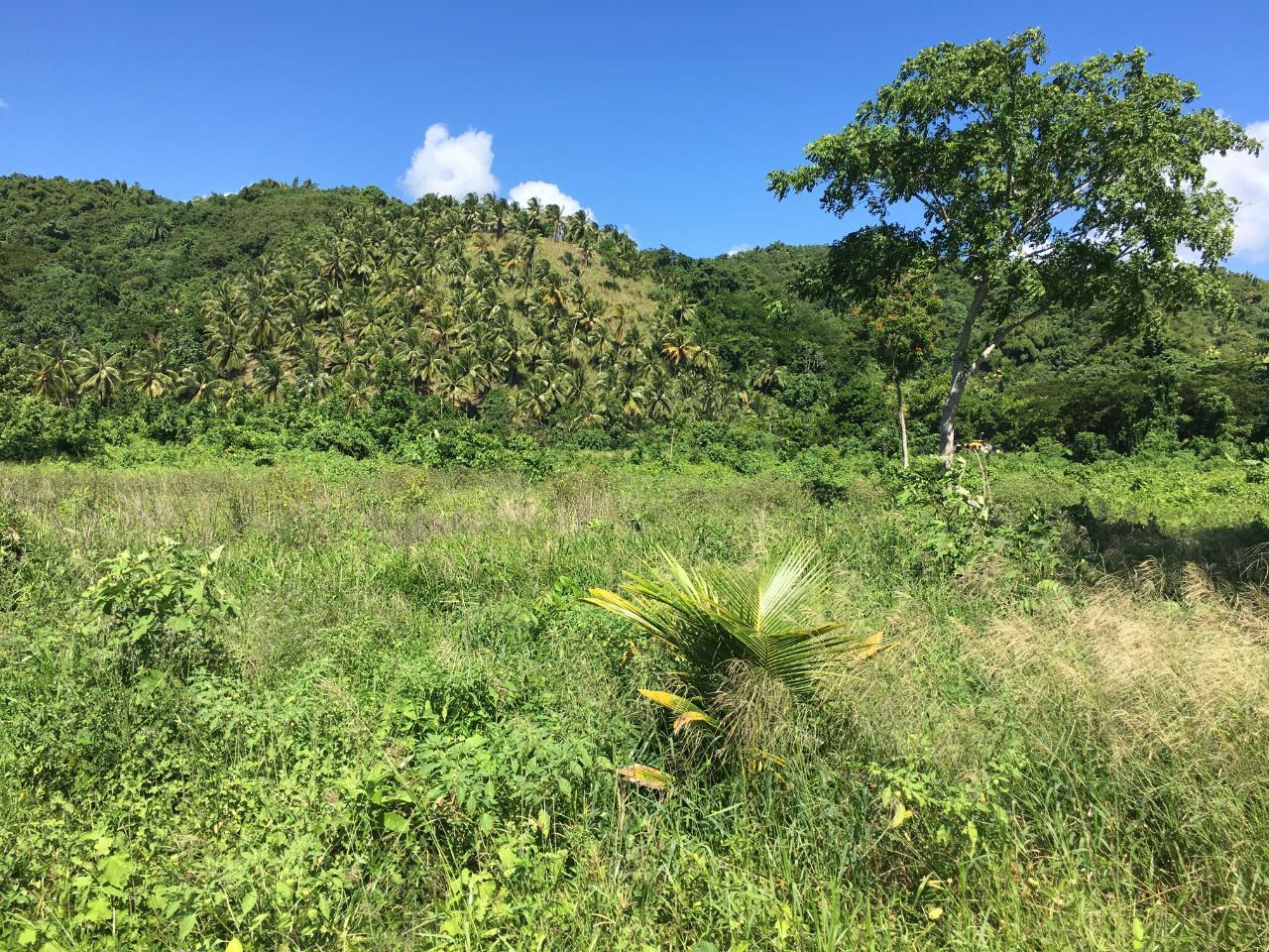 Second image of Rhine, Bath in Bath, St. Thomas, Jamaica - property is For Sale