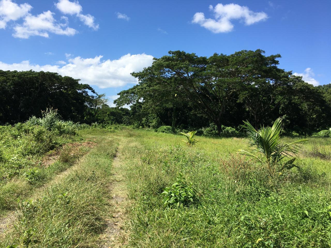 Sixth image of Rhine, Bath in Bath, St. Thomas, Jamaica - property is For Sale
