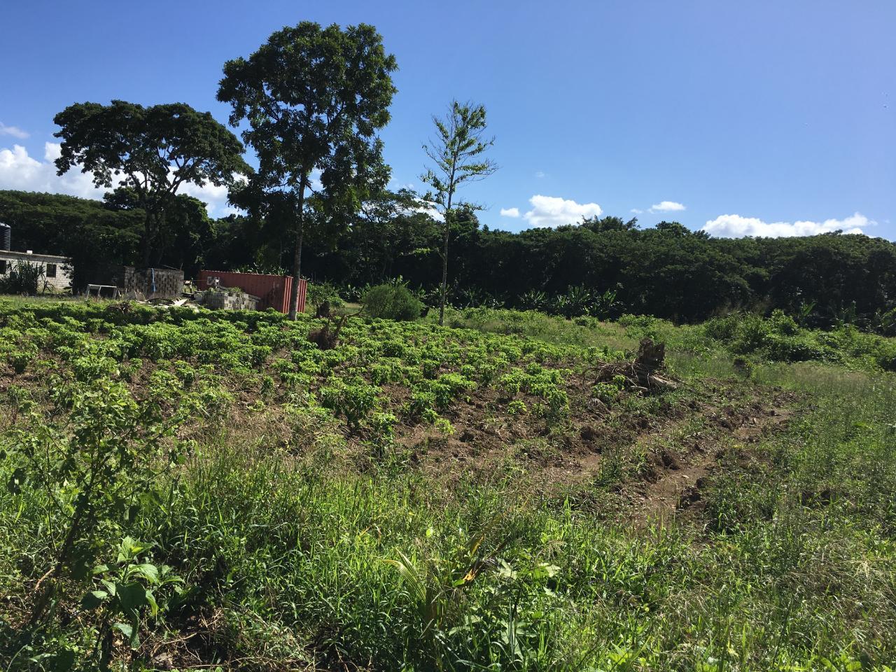 Seventh image of Rhine, Bath in Bath, St. Thomas, Jamaica - property is For Sale