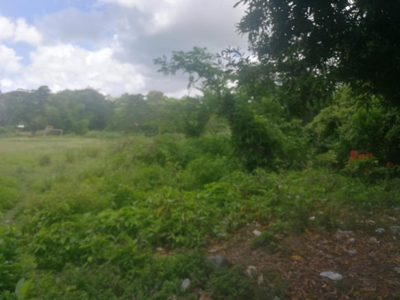 First image of 6 Curtis Bottom Road in Port Morant, St. Thomas, Jamaica - property is For Sale