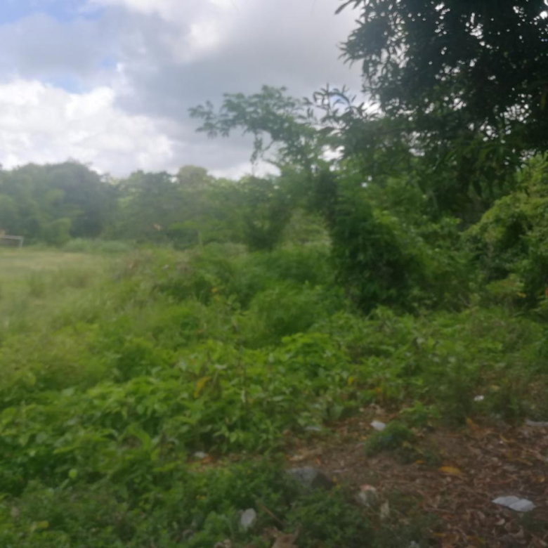 First image of 6 Curtis Bottom Road in Port Morant, St. Thomas, Jamaica - property is For Sale