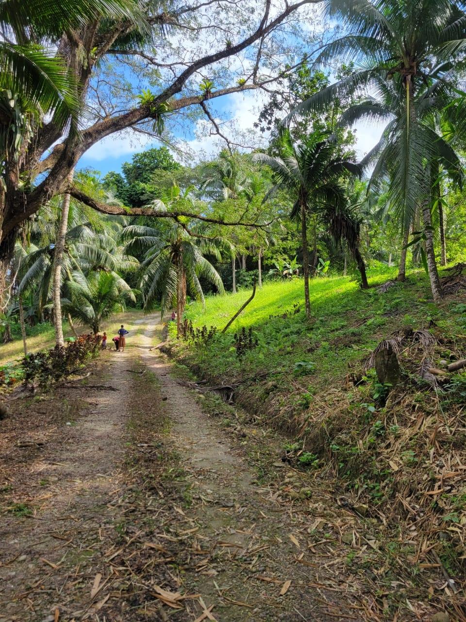 Second image of Lot-14 Brimmer Hall, Port Maria, in Brimmer Hall, St. Mary, Jamaica - property is For Sale