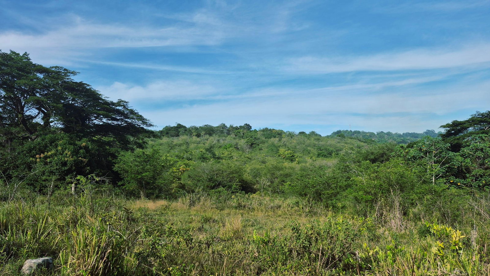 Second image of Lot 12 Friendship in Friendship, St. Mary, Jamaica - property is For Sale