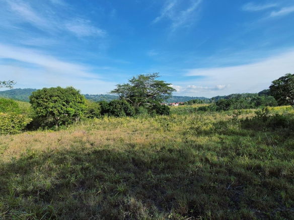 First image of Lot 12 Friendship in Friendship, St. Mary, Jamaica - property is For Sale