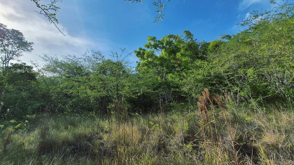 Eighth image of Lot 12 Friendship in Friendship, St. Mary, Jamaica - property is For Sale