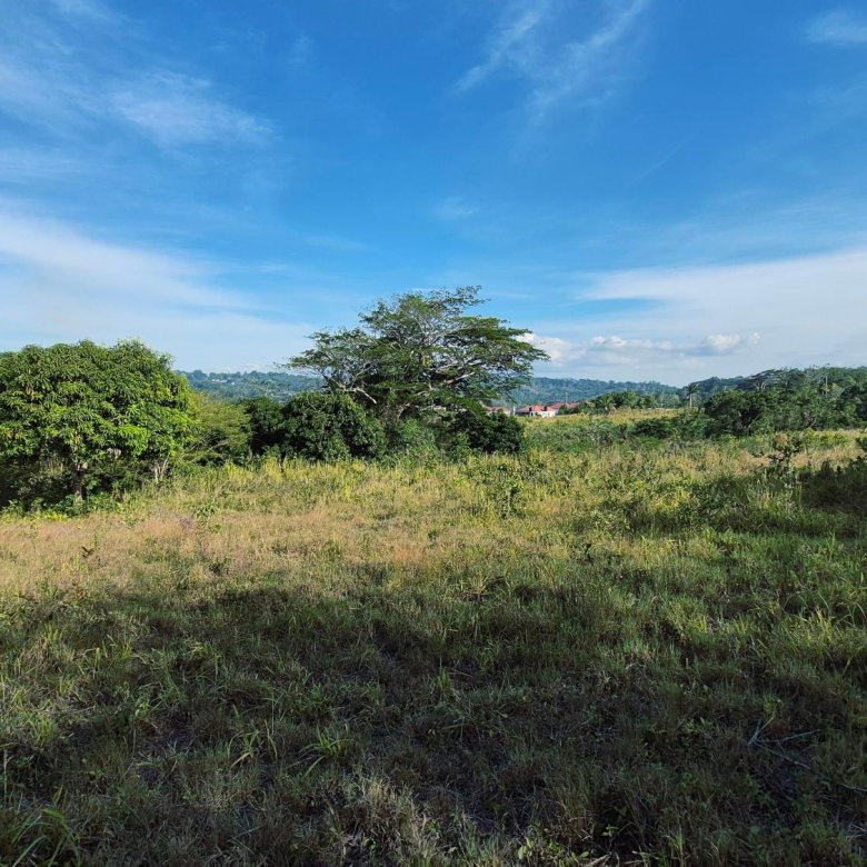 First image of Lot 12 Friendship in Friendship, St. Mary, Jamaica - property is For Sale