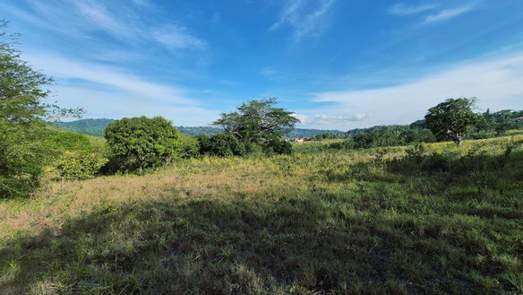 First image of Lot 12 Friendship in Friendship, St. Mary, Jamaica - property is For Sale