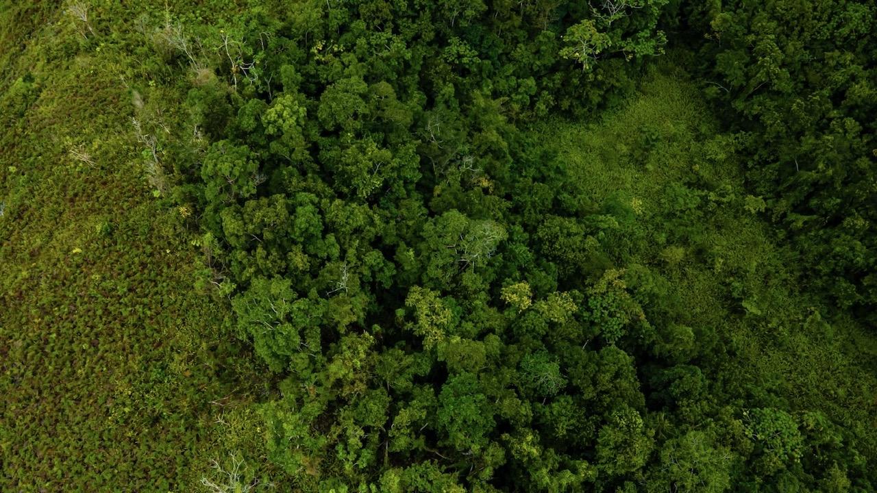 Second image of Elgin Ulster Spring Trela in Ulster Spring, Trelawny, Jamaica - property is For Sale
