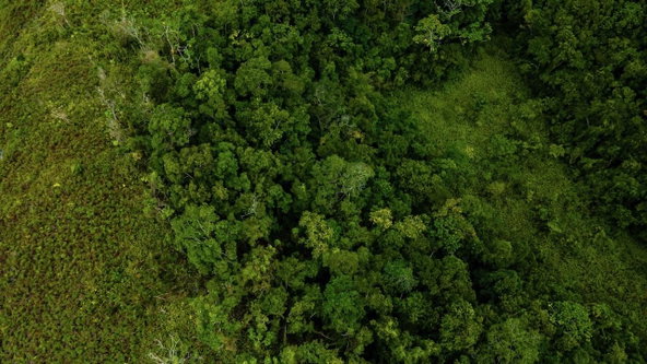 Second image of Elgin Ulster Spring Trela in Ulster Spring, Trelawny, Jamaica - property is For Sale