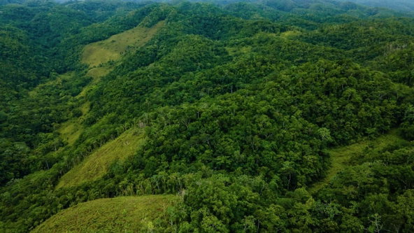 Twelfth image of Elgin Ulster Spring Trela in Ulster Spring, Trelawny, Jamaica - property is For Sale