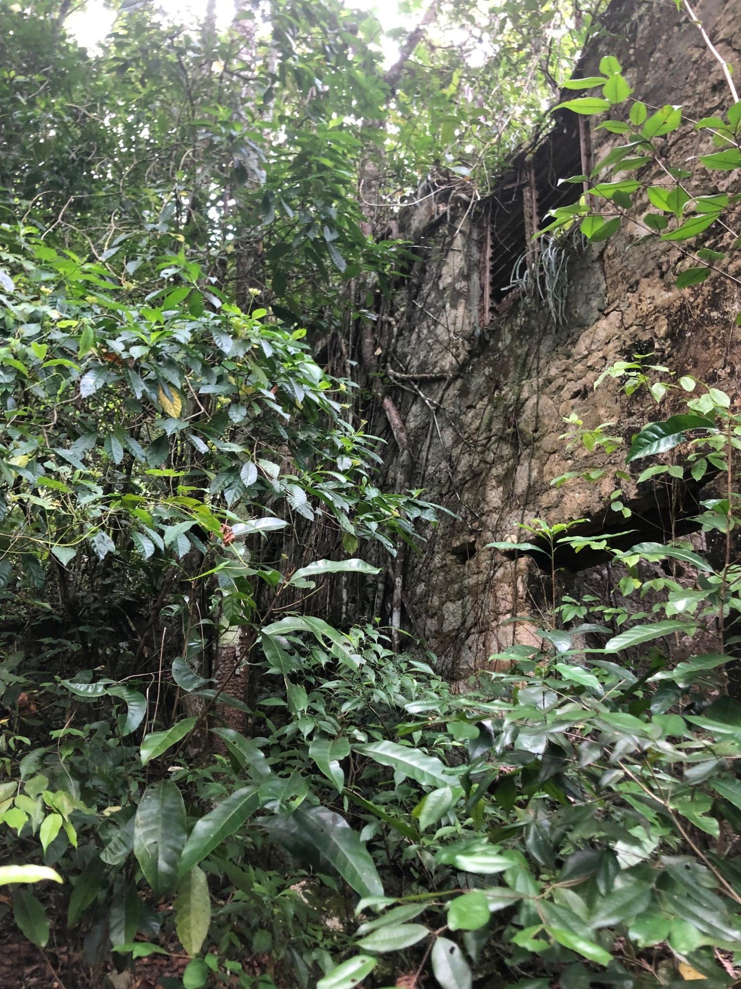 Thirteenth image of Elgin Ulster Spring Trela in Ulster Spring, Trelawny, Jamaica - property is For Sale
