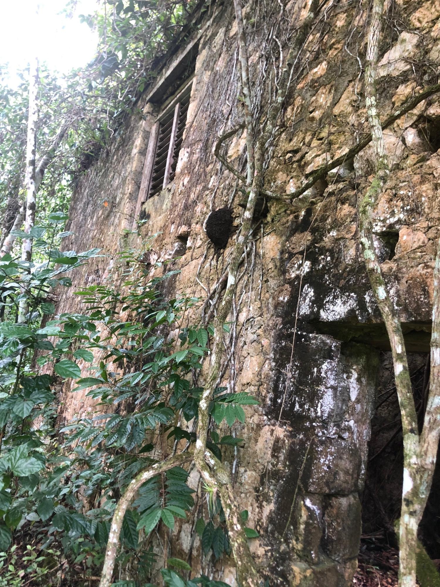 Fourteenth image of Elgin Ulster Spring Trela in Ulster Spring, Trelawny, Jamaica - property is For Sale