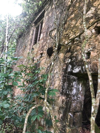 Fourteenth image of Elgin Ulster Spring Trela in Ulster Spring, Trelawny, Jamaica - property is For Sale