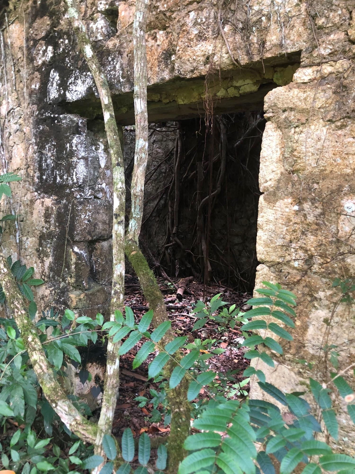 Fifteenth image of Elgin Ulster Spring Trela in Ulster Spring, Trelawny, Jamaica - property is For Sale