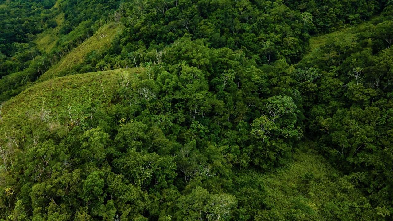 Sixth image of Elgin Ulster Spring Trela in Ulster Spring, Trelawny, Jamaica - property is For Sale
