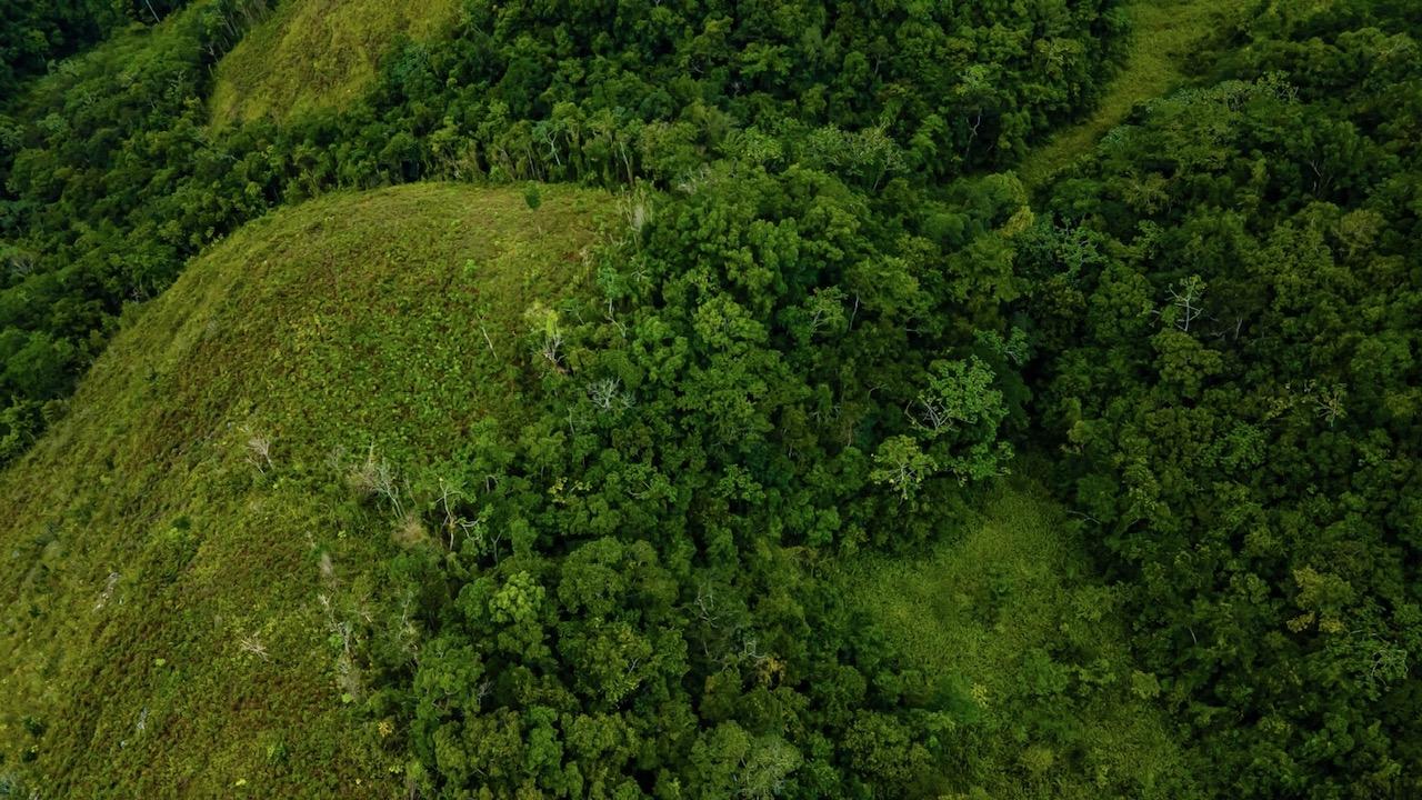Seventh image of Elgin Ulster Spring Trela in Ulster Spring, Trelawny, Jamaica - property is For Sale