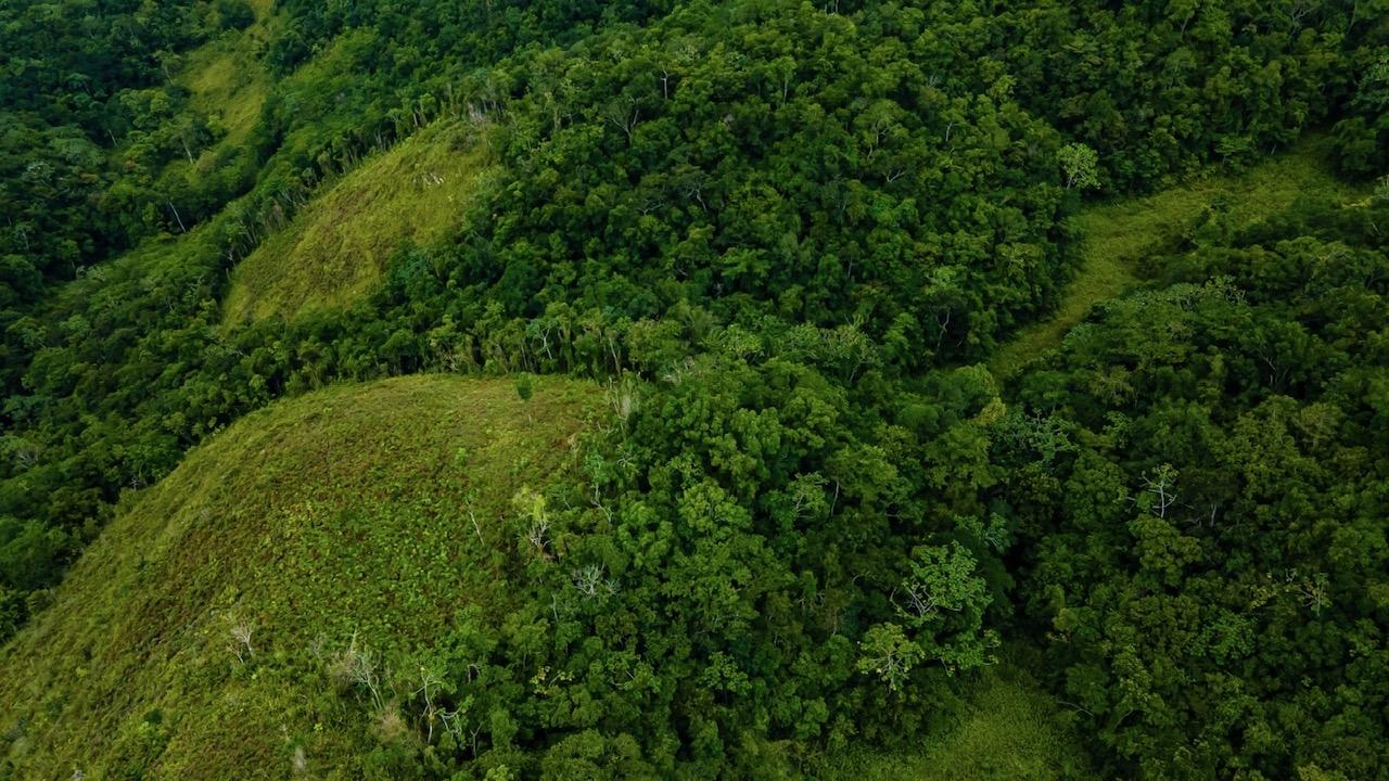 Eighth image of Elgin Ulster Spring Trela in Ulster Spring, Trelawny, Jamaica - property is For Sale