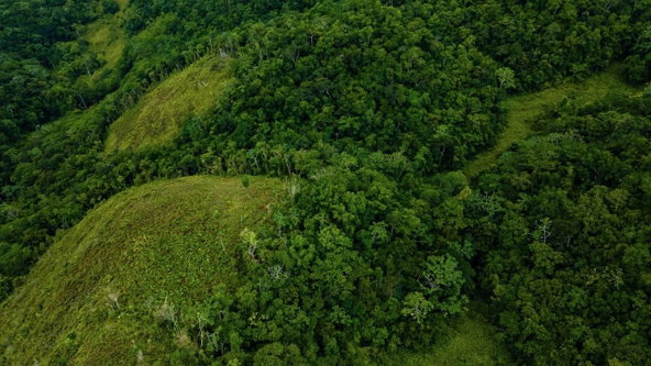 Eighth image of Elgin Ulster Spring Trela in Ulster Spring, Trelawny, Jamaica - property is For Sale