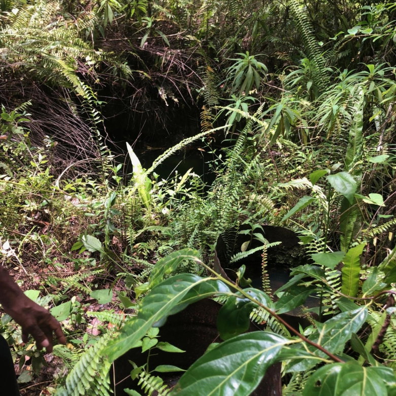 First image of Elgin Ulster Spring Trela in Ulster Spring, Trelawny, Jamaica - property is For Sale