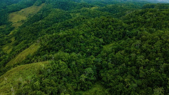 Tenth image of Elgin Ulster Spring Trela in Ulster Spring, Trelawny, Jamaica - property is For Sale