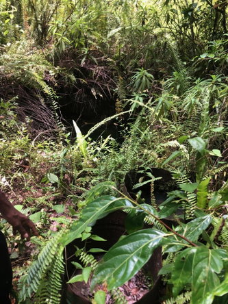 First image of Elgin Ulster Spring Trela in Ulster Spring, Trelawny, Jamaica - property is For Sale