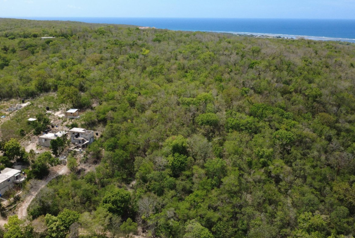 Eleventh image of Falmouth, Litchfield & co in Falmouth, Trelawny, Jamaica - property is For Sale