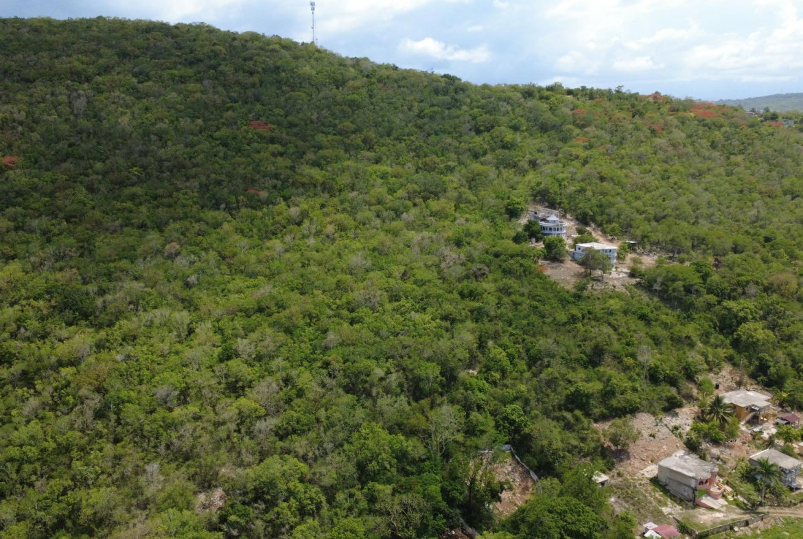 Seventeenth image of Falmouth, Litchfield & co in Falmouth, Trelawny, Jamaica - property is For Sale