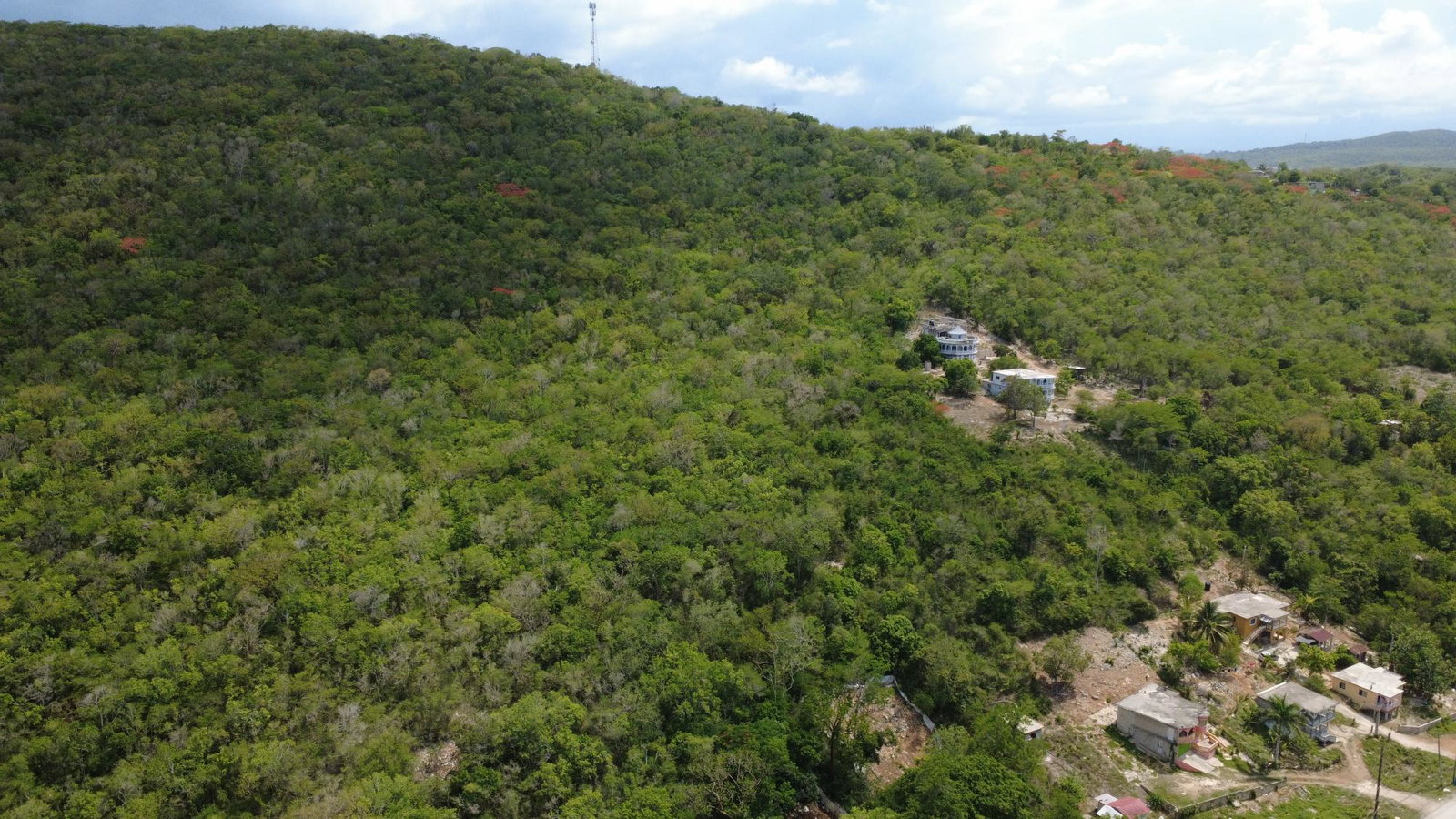 18-Acres-Residential-Development-Land-for-Sale-in-Falmouth-Trelawny-Jamaica Seventeenth image of Falmouth, Litchfield & co in Falmouth, Trelawny, Jamaica - property is For Sale