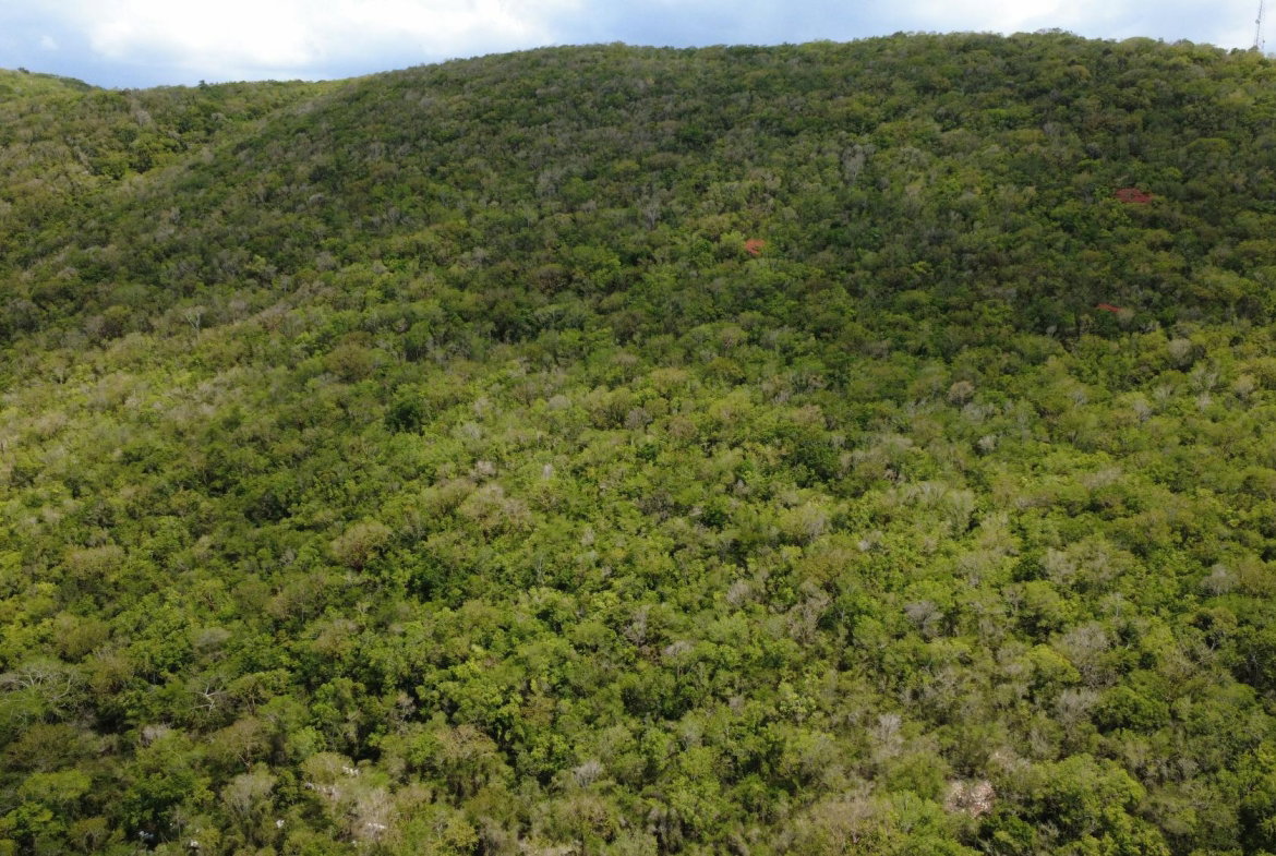 Eighteenth image of Falmouth, Litchfield & co in Falmouth, Trelawny, Jamaica - property is For Sale