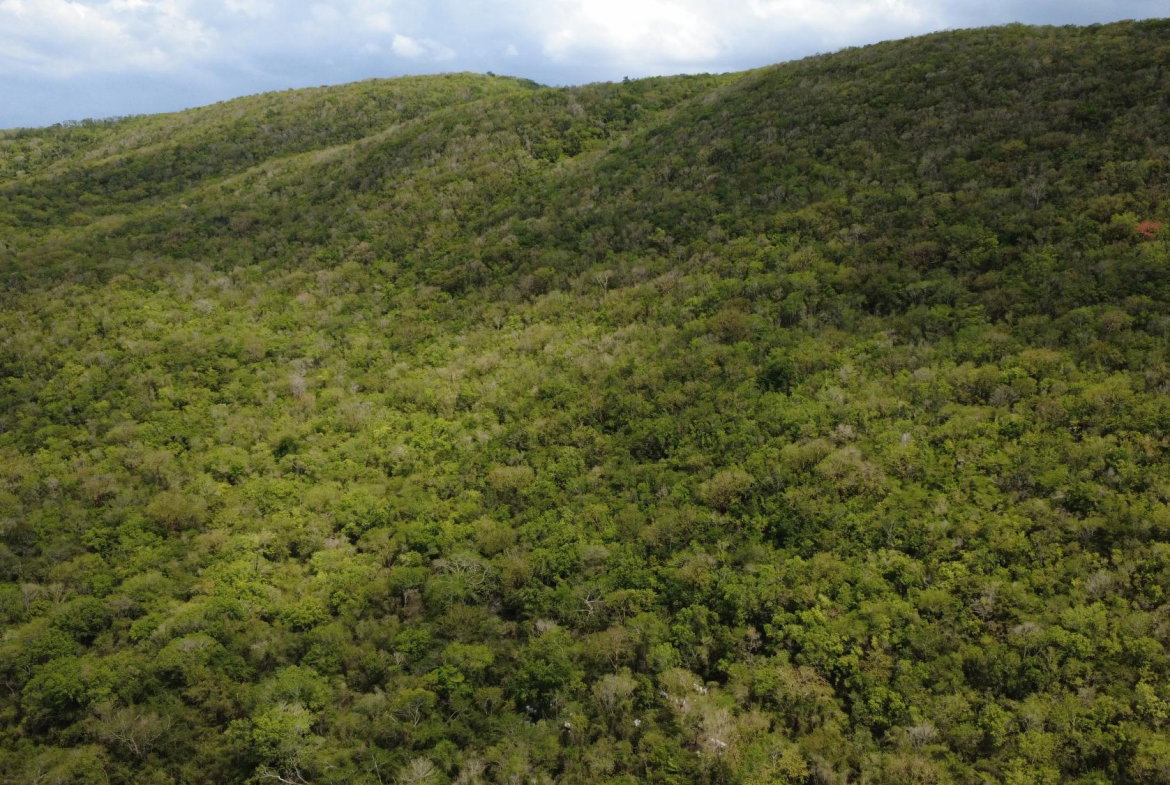 Nineteenth image of Falmouth, Litchfield & co in Falmouth, Trelawny, Jamaica - property is For Sale