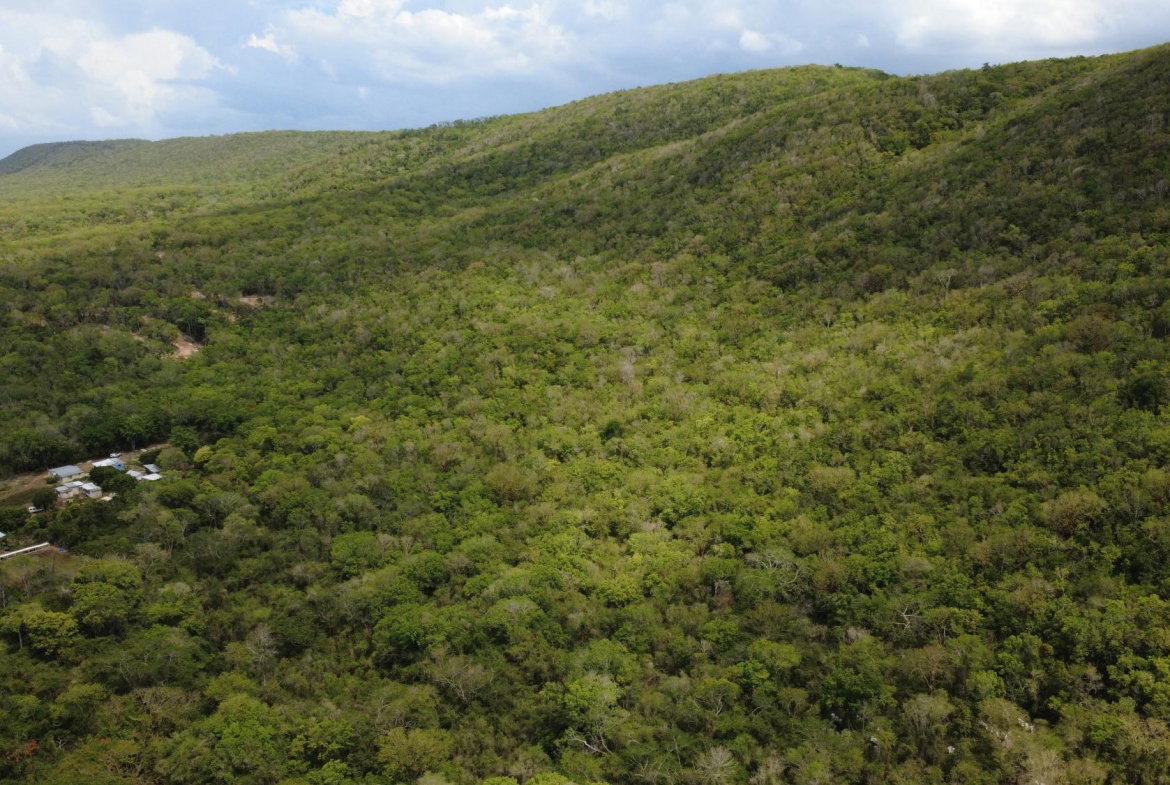 Twentieth image of Falmouth, Litchfield & co in Falmouth, Trelawny, Jamaica - property is For Sale