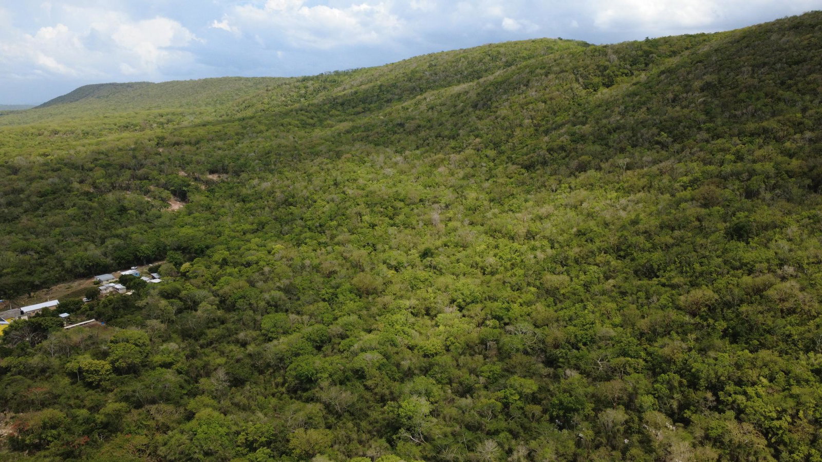 18-Acres-Residential-Development-Land-for-Sale-in-Falmouth-Trelawny-Jamaica Twentieth image of Falmouth, Litchfield & co in Falmouth, Trelawny, Jamaica - property is For Sale