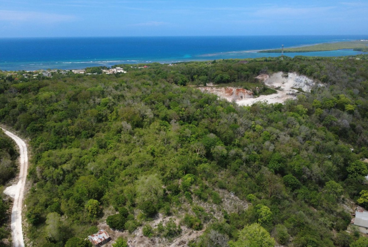 Twenty-Third image of Falmouth, Litchfield & co in Falmouth, Trelawny, Jamaica - property is For Sale