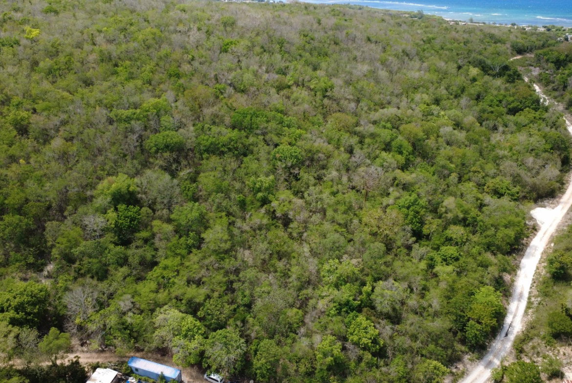 Twenty-Fourth image of Falmouth, Litchfield & co in Falmouth, Trelawny, Jamaica - property is For Sale