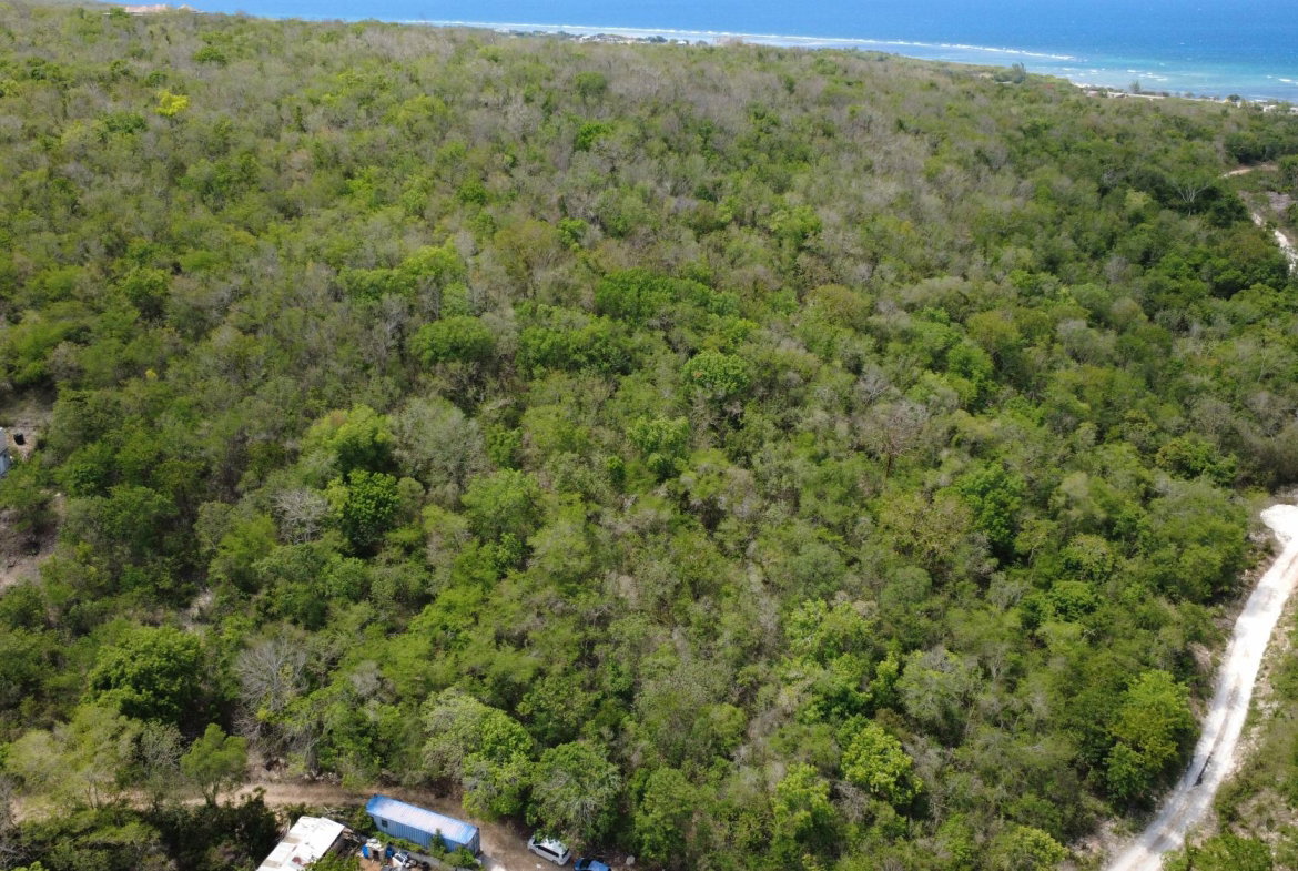 Twenty-Fifth image of Falmouth, Litchfield & co in Falmouth, Trelawny, Jamaica - property is For Sale