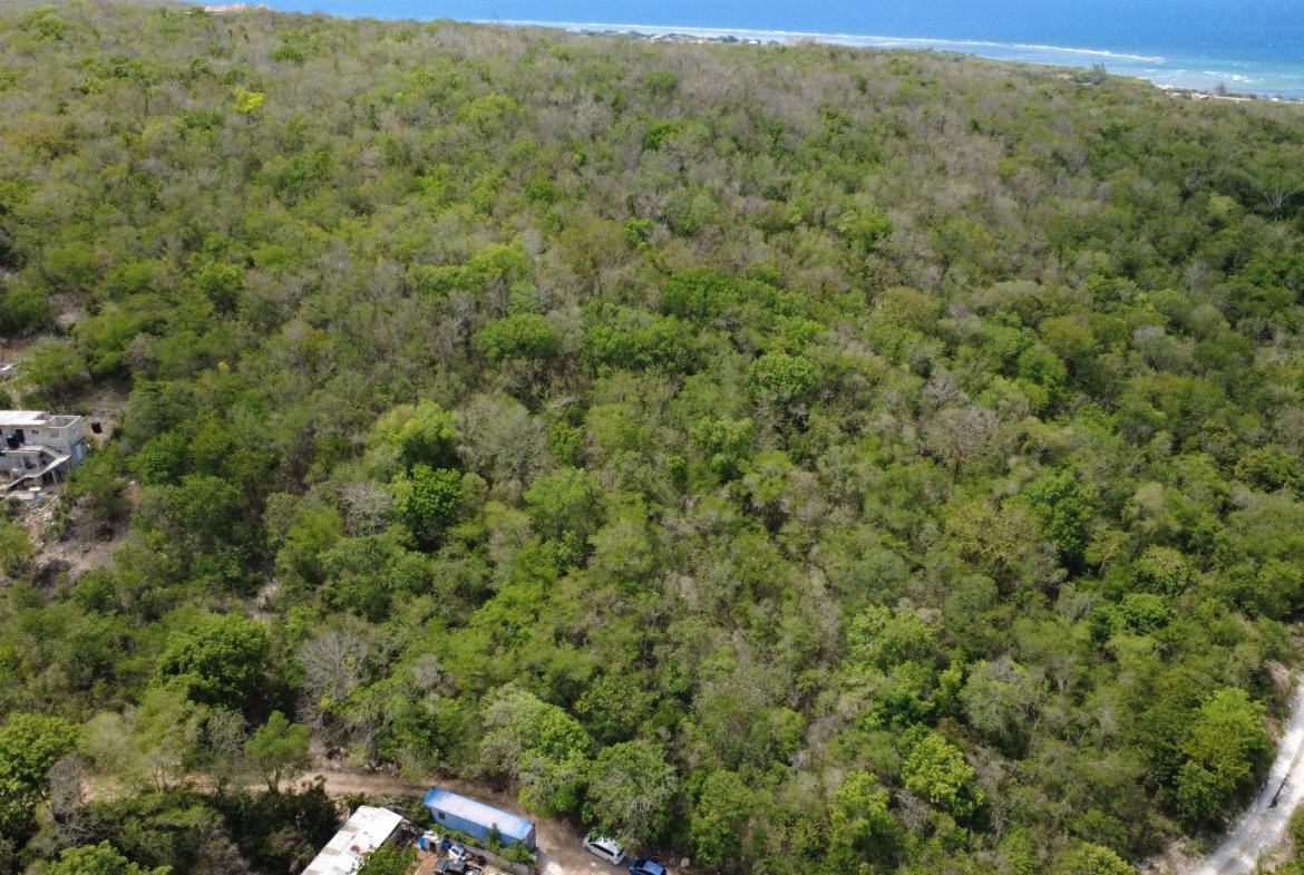 Twenty-Sixth image of Falmouth, Litchfield & co in Falmouth, Trelawny, Jamaica - property is For Sale