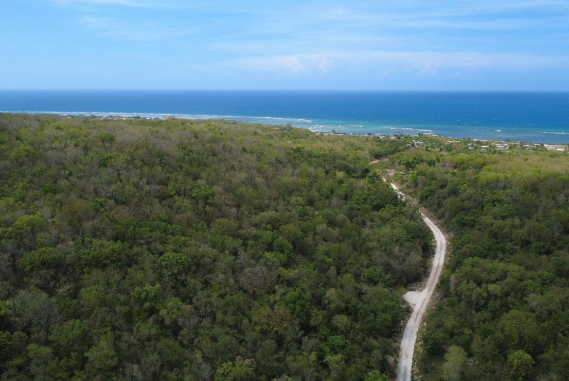 Twenty-Seventh image of Falmouth, Litchfield & co in Falmouth, Trelawny, Jamaica - property is For Sale