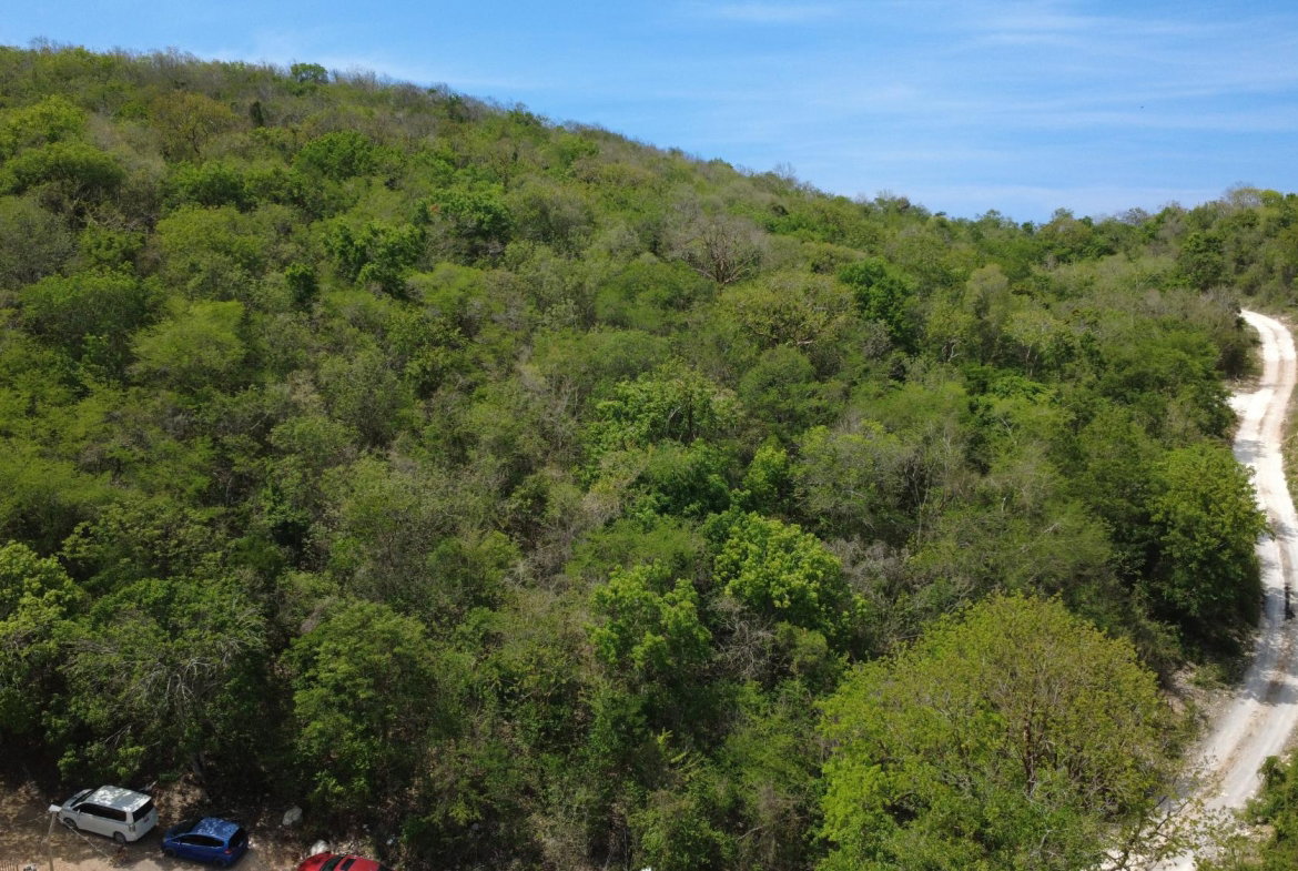 Fourth image of Falmouth, Litchfield & co in Falmouth, Trelawny, Jamaica - property is For Sale