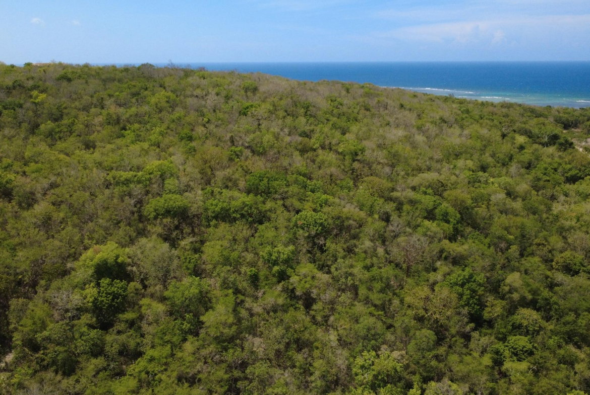 Fifth image of Falmouth, Litchfield & co in Falmouth, Trelawny, Jamaica - property is For Sale