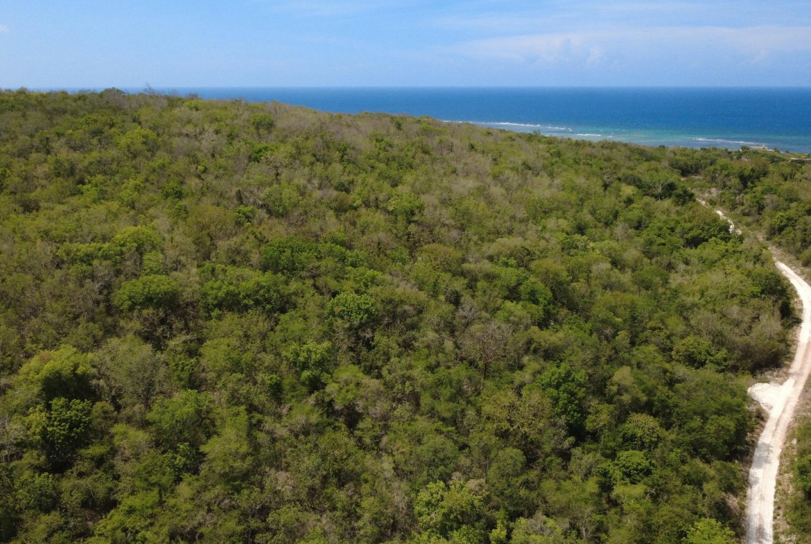 Sixth image of Falmouth, Litchfield & co in Falmouth, Trelawny, Jamaica - property is For Sale