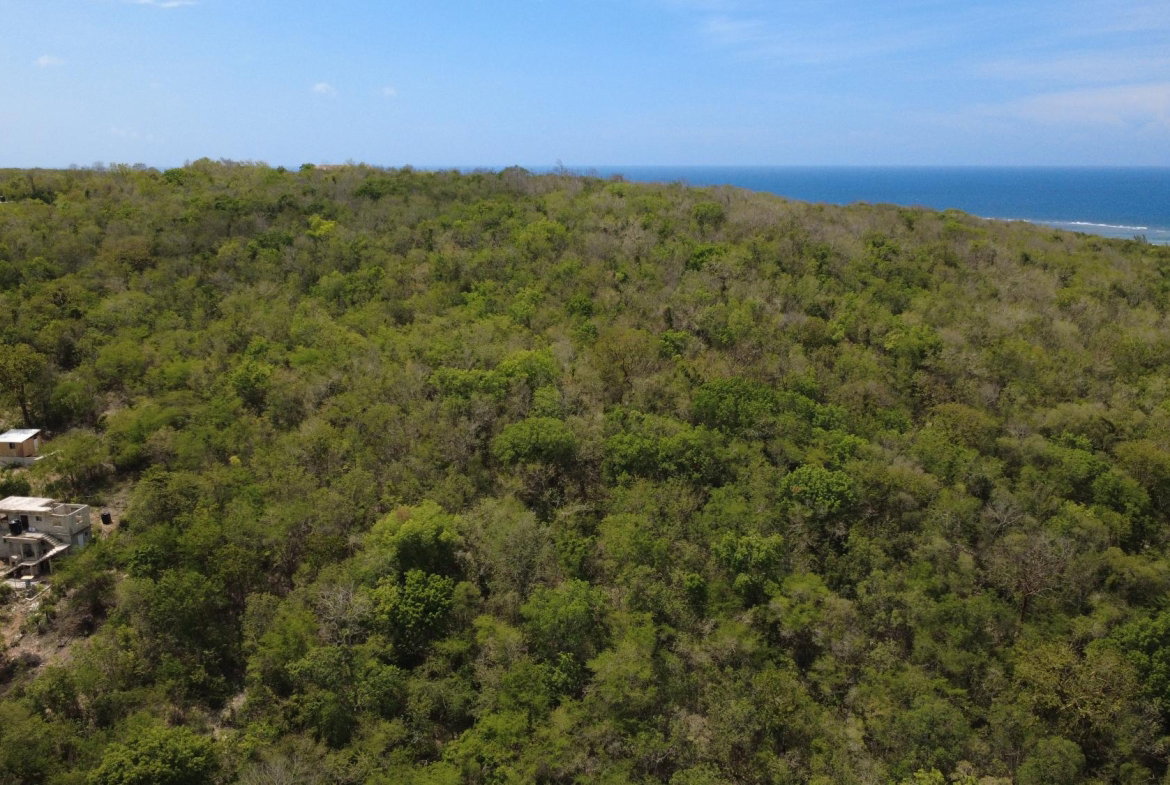 Seventh image of Falmouth, Litchfield & co in Falmouth, Trelawny, Jamaica - property is For Sale